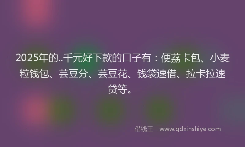 2025年的..千元好下款的口子有：便荔卡包、小麦粒钱包、芸豆分、芸豆花、钱袋速借、拉卡拉速贷等。