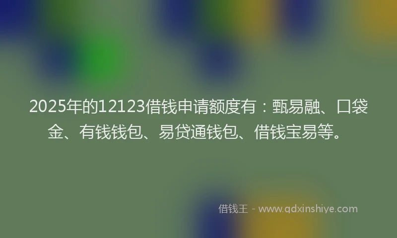 2025年的12123借钱申请额度有：甄易融、口袋金、有钱钱包、易贷通钱包、借钱宝易等。