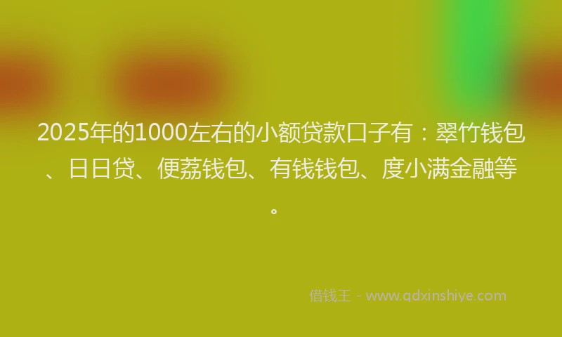 2025年的1000左右的小额贷款口子有：翠竹钱包、日日贷、便荔钱包、有钱钱包、度小满金融等。
