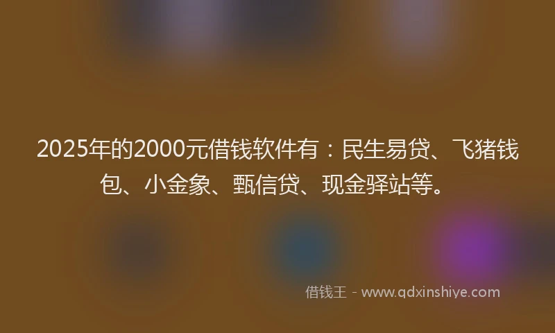 2025年的2000元借钱软件有：民生易贷、飞猪钱包、小金象、甄信贷、现金驿站等。