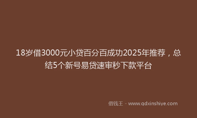 18岁借3000元小贷百分百成功2025年推荐，总结5个新号易贷速审秒下款平台