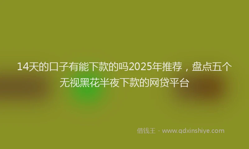 14天的口子有能下款的吗2025年推荐，盘点五个无视黑花半夜下款的网贷平台