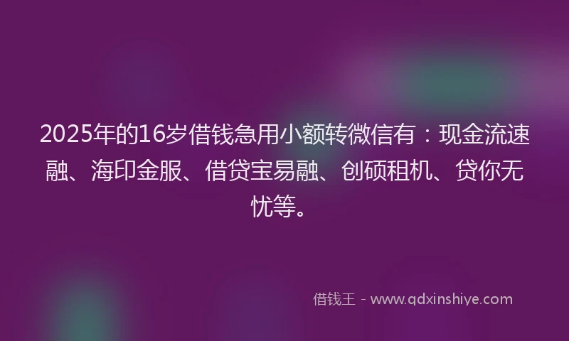 2025年的16岁借钱急用小额转微信有：现金流速融、海印金服、借贷宝易融、创硕租机、贷你无忧等。