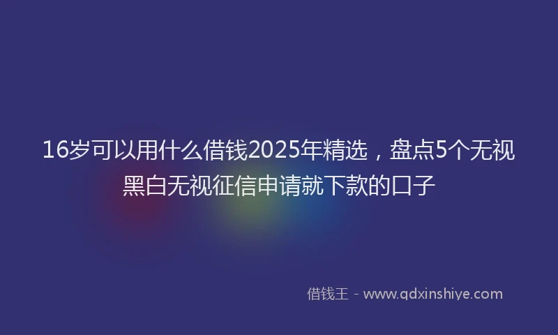 16岁可以用什么借钱2025年精选，盘点5个无视黑白无视征信申请就下款的口子