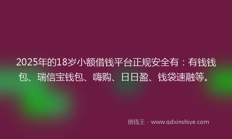 2025年的18岁小额借钱平台正规安全有：有钱钱包、瑞信宝钱包、嗨购、日日盈、钱袋速融等。