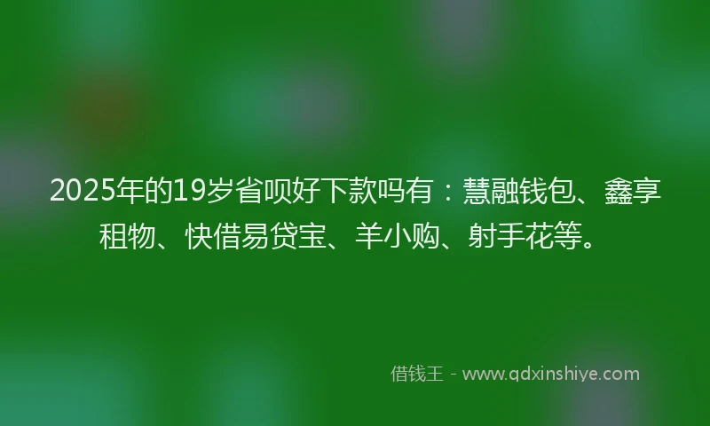2025年的19岁省呗好下款吗有：慧融钱包、鑫享租物、快借易贷宝、羊小购、射手花等。