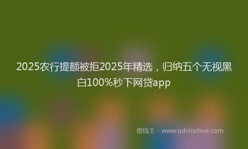 2025农行提额被拒2025年精选，归纳五个无视黑白100%秒下网贷app