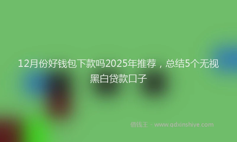 12月份好钱包下款吗2025年推荐，总结5个无视黑白贷款口子