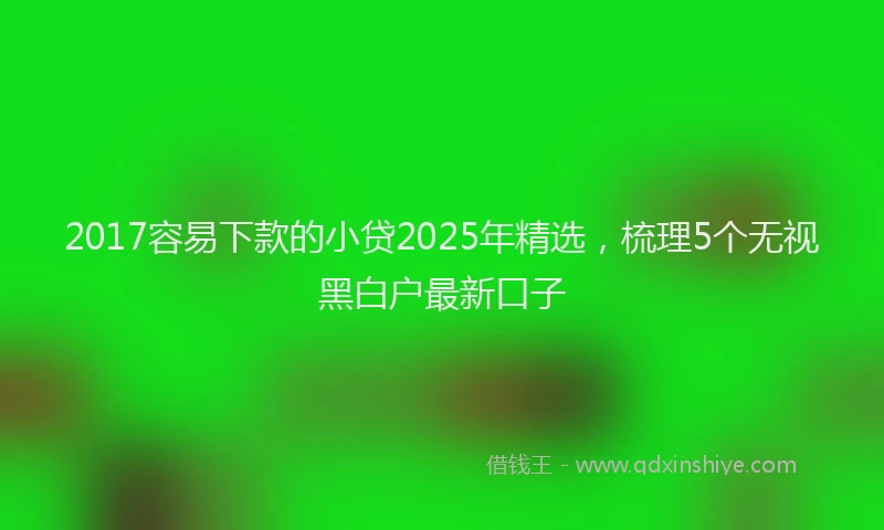 2017容易下款的小贷2025年精选，梳理5个无视黑白户最新口子
