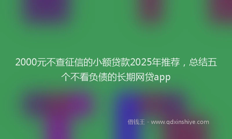 2000元不查征信的小额贷款2025年推荐，总结五个不看负债的长期网贷app