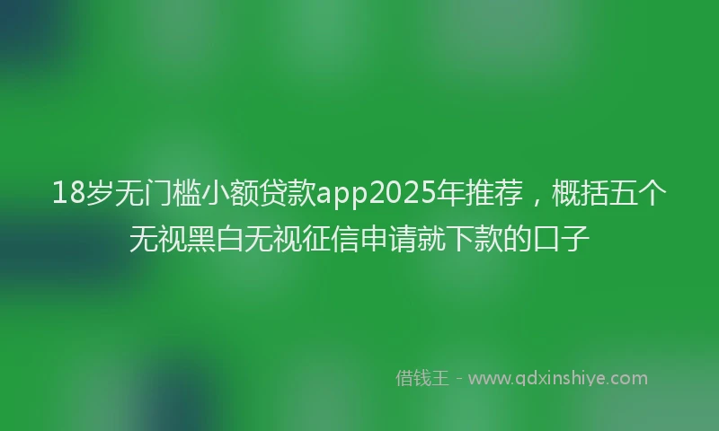 18岁无门槛小额贷款app2025年推荐，概括五个无视黑白无视征信申请就下款的口子