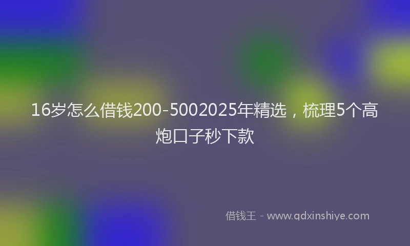 16岁怎么借钱200-5002025年精选，梳理5个高炮口子秒下款