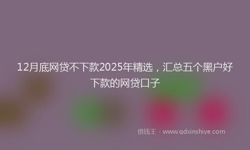 12月底网贷不下款2025年精选，汇总五个黑户好下款的网贷口子
