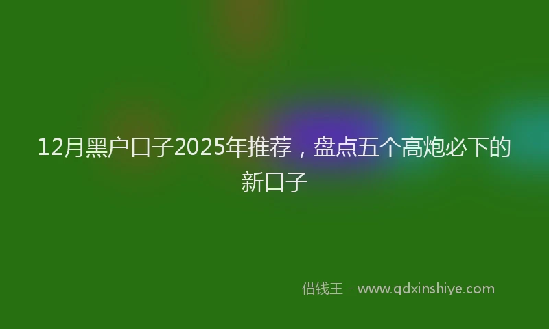 12月黑户口子2025年推荐，盘点五个高炮必下的新口子