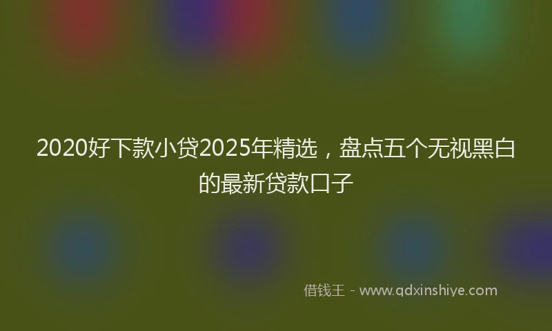 2020好下款小贷2025年精选，盘点五个无视黑白的最新贷款口子