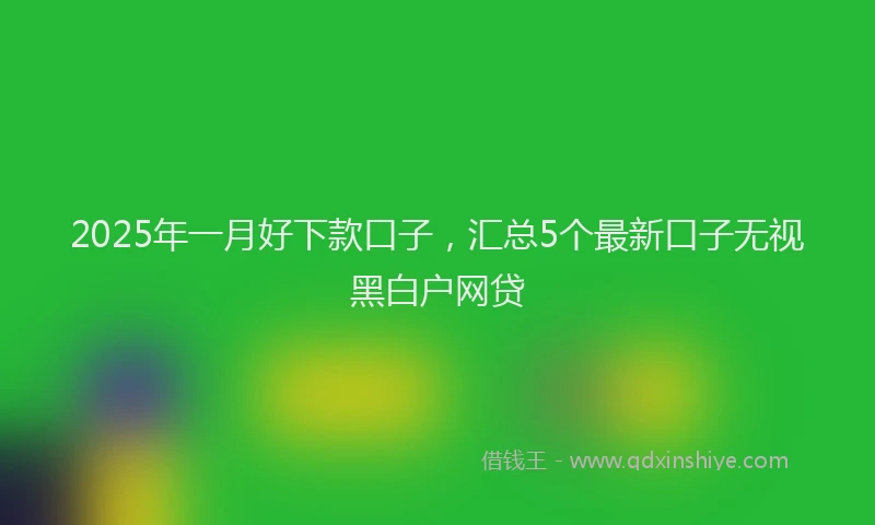 2025年一月好下款口子，汇总5个最新口子无视黑白户网贷