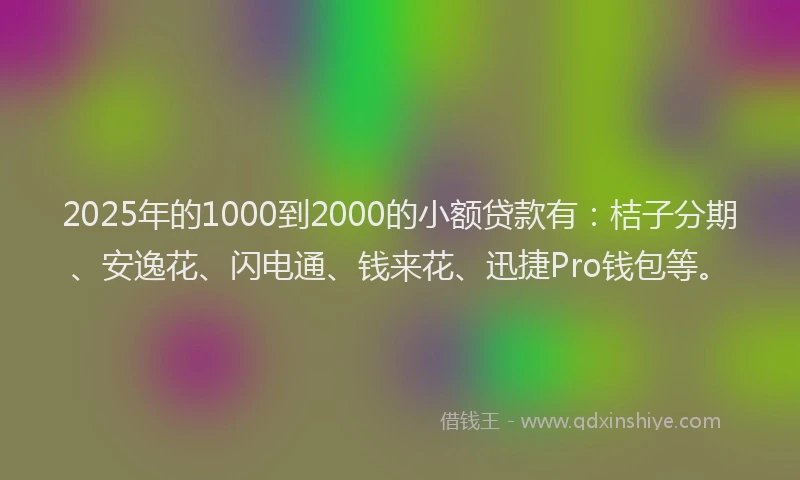 2025年的1000到2000的小额贷款有:桔子分期、安逸花、闪电通、钱来花、迅捷Pro钱包等。