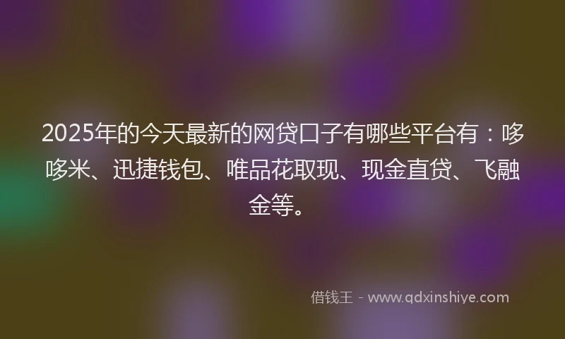 2025年的今天最新的网贷口子有哪些平台有：哆哆米、迅捷钱包、唯品花取现、现金直贷、飞融金等。