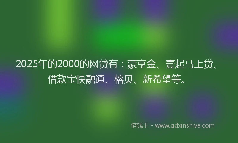 2025年的2000的网贷有：蒙享金、壹起马上贷、借款宝快融通、榕贝、新希望等。