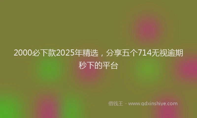 2000必下款2025年精选，分享五个714无视逾期秒下的平台