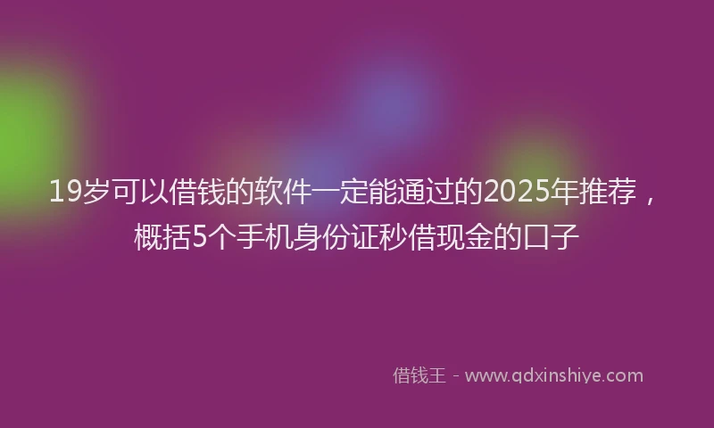 19岁可以借钱的软件一定能通过的2025年推荐，概括5个手机身份证秒借现金的口子
