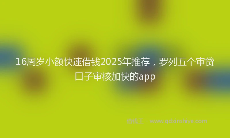 16周岁小额快速借钱2025年推荐，罗列五个审贷口子审核加快的app