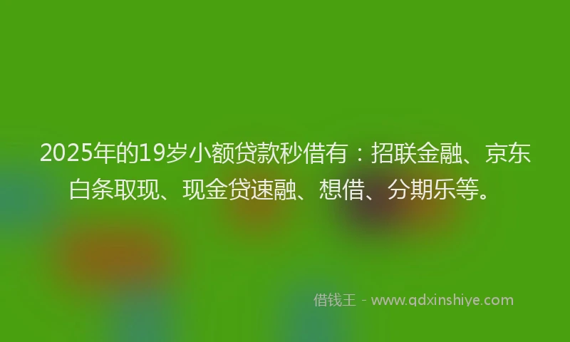 2025年的19岁小额贷款秒借有：招联金融、京东白条取现、现金贷速融、想借、分期乐等。