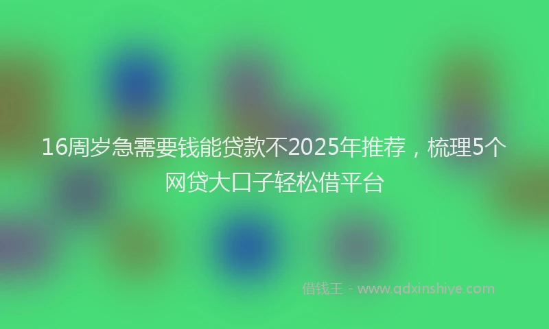 16周岁急需要钱能贷款不2025年推荐，梳理5个网贷大口子轻松借平台