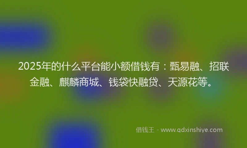 2025年的什么平台能小额借钱有：甄易融、招联金融、麒麟商城、钱袋快融贷、天源花等。