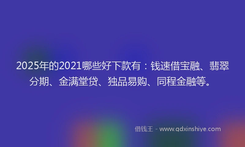 2025年的2021哪些好下款有：钱速借宝融、翡翠分期、金满堂贷、独品易购、同程金融等。