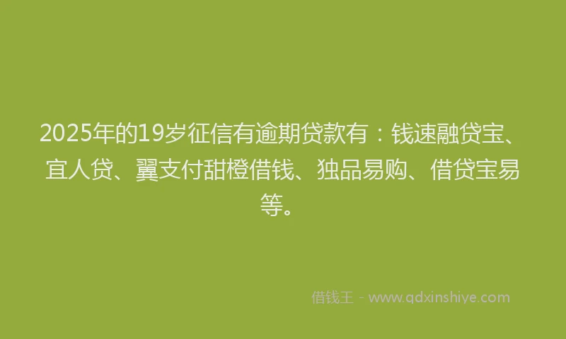 2025年的19岁征信有逾期贷款有：钱速融贷宝、宜人贷、翼支付甜橙借钱、独品易购、借贷宝易等。