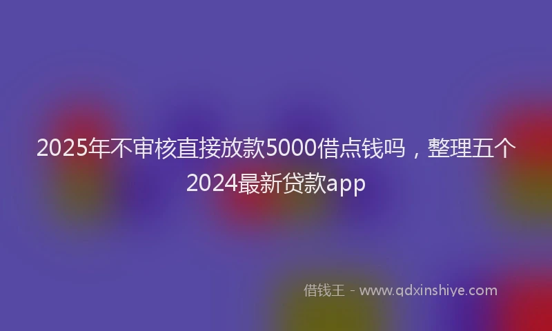 2025年不审核直接放款5000借点钱吗，整理五个2024最新贷款app