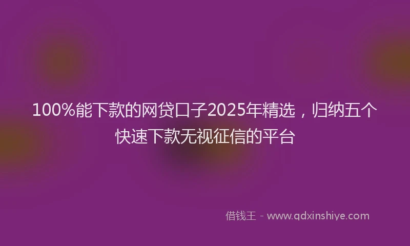 100%能下款的网贷口子2025年精选，归纳五个快速下款无视征信的平台