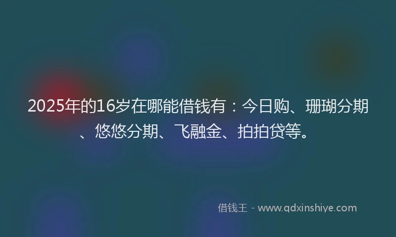 2025年的16岁在哪能借钱有：今日购、珊瑚分期、悠悠分期、飞融金、拍拍贷等。
