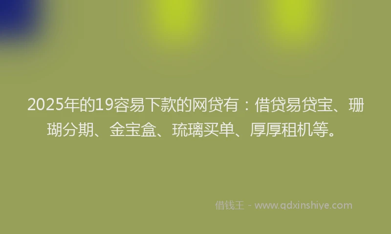 2025年的19容易下款的网贷有：借贷易贷宝、珊瑚分期、金宝盒、琉璃买单、厚厚租机等。
