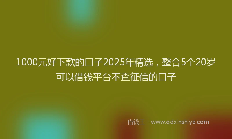 1000元好下款的口子2025年精选，整合5个20岁可以借钱平台不查征信的口子