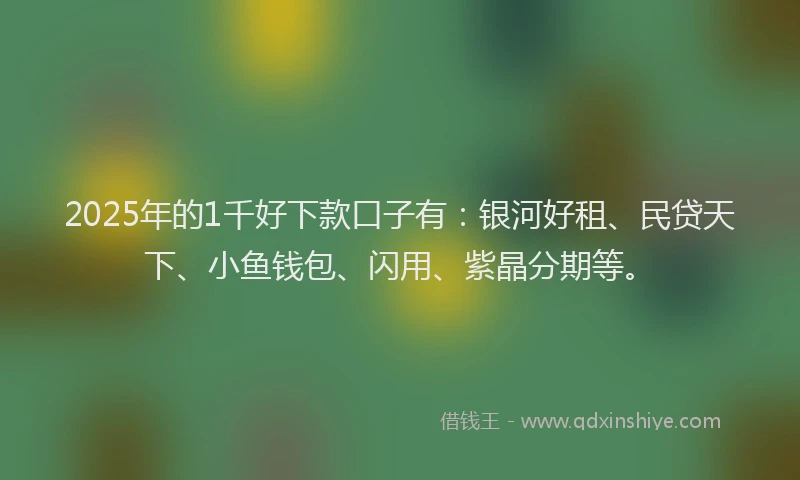 2025年的1千好下款口子有：银河好租、民贷天下、小鱼钱包、闪用、紫晶分期等。