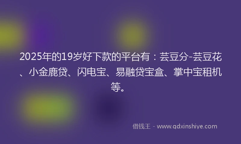 2025年的19岁好下款的平台有：芸豆分-芸豆花、小金鹿贷、闪电宝、易融贷宝盒、掌中宝租机等。