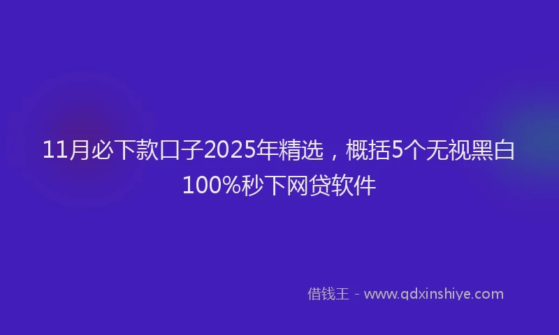 11月必下款口子2025年精选，概括5个无视黑白100%秒下网贷软件
