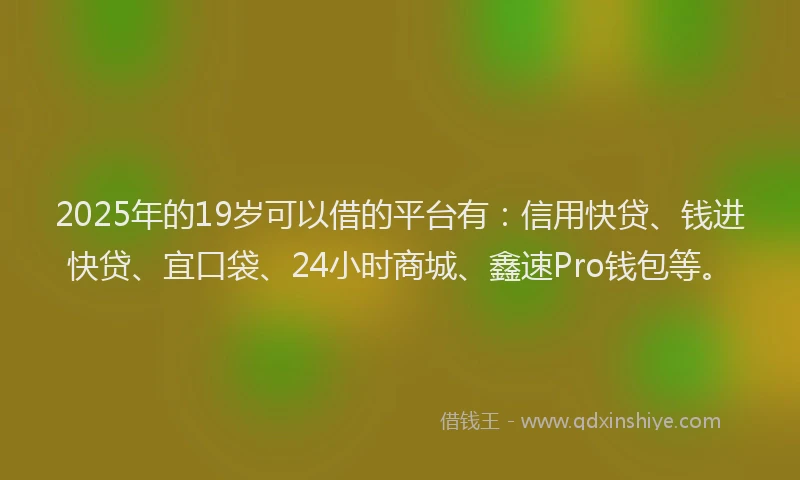 2025年的19岁可以借的平台有：信用快贷、钱进快贷、宜口袋、24小时商城、鑫速Pro钱包等。