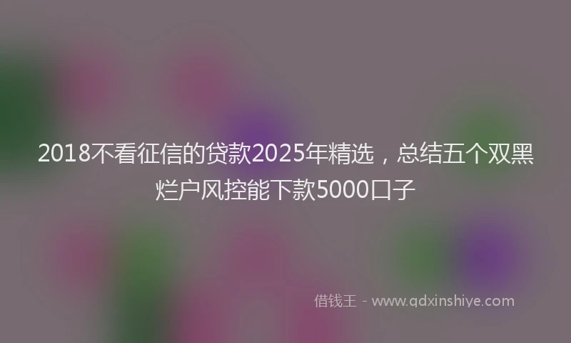 2018不看征信的贷款2025年精选，总结五个双黑烂户风控能下款5000口子