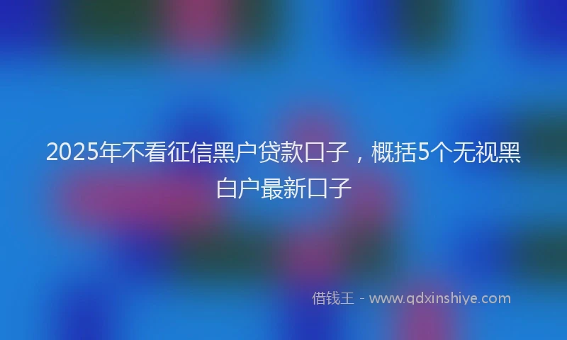 2025年不看征信黑户贷款口子，概括5个无视黑白户最新口子