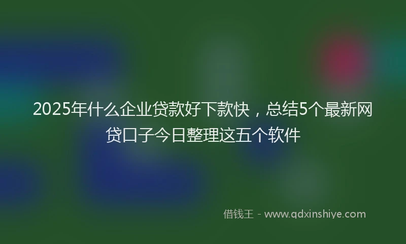 2025年什么企业贷款好下款快，总结5个最新网贷口子今日整理这五个软件
