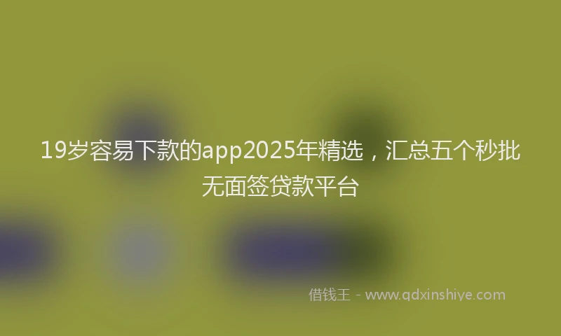 19岁容易下款的app2025年精选，汇总五个秒批无面签贷款平台