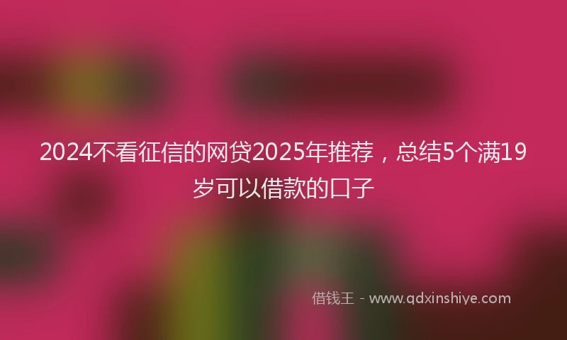 2024不看征信的网贷2025年推荐，总结5个满19岁可以借款的口子