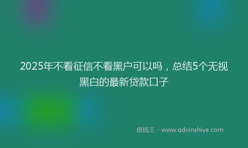 2025年不看征信不看黑户可以吗，总结5个无视黑白的最新贷款口子