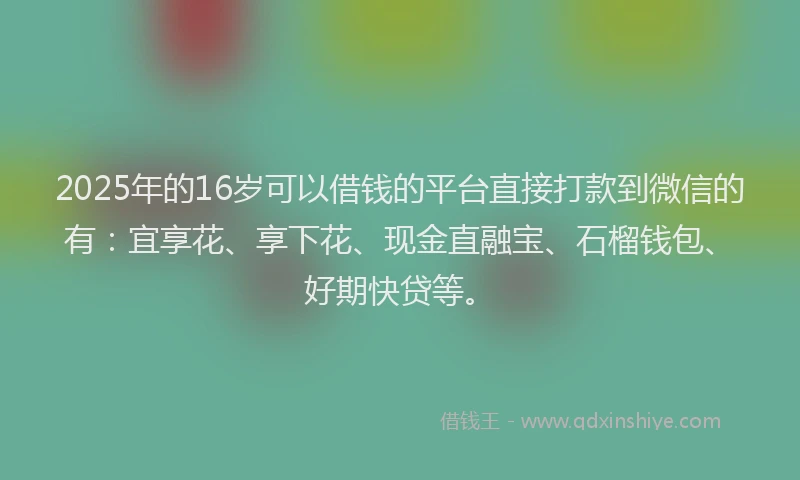 2025年的16岁可以借钱的平台直接打款到微信的有：宜享花、享下花、现金直融宝、石榴钱包、好期快贷等。