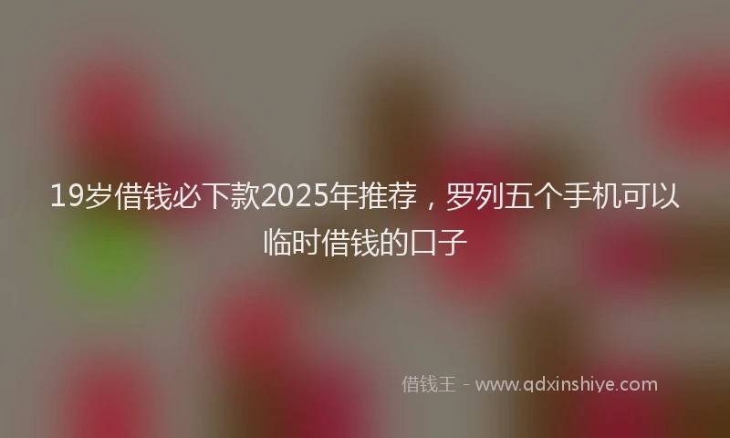 19岁借钱必下款2025年推荐，罗列五个手机可以临时借钱的口子