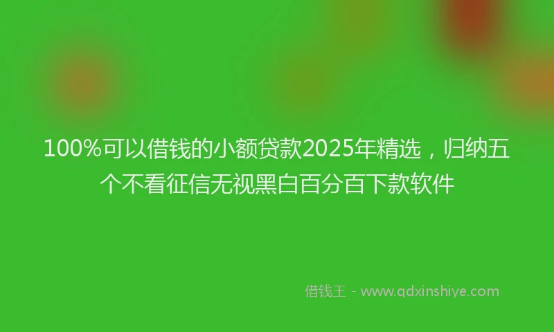 100%可以借钱的小额贷款2025年精选，归纳五个不看征信无视黑白百分百下款软件