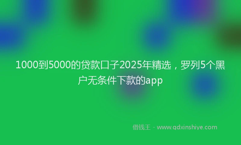 1000到5000的贷款口子2025年精选，罗列5个黑户无条件下款的app